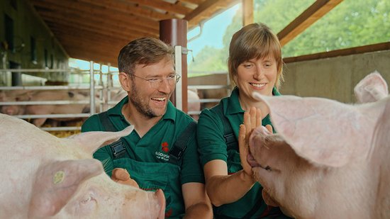 005_Gluecksstueck-Hof_Bielfeldt_72ppi.jpg 005_Gluecksstueck-Hof_Bielfeldt_72ppi.jpg