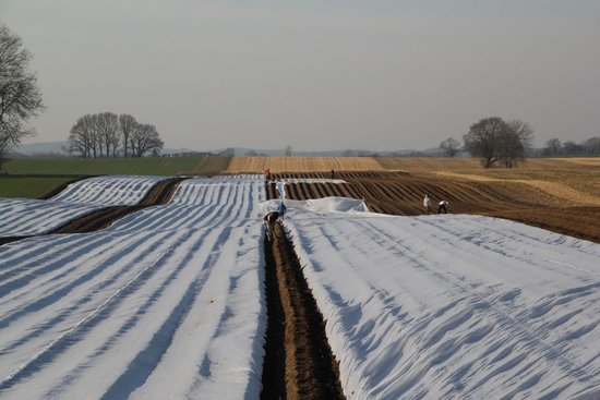 Gut-Schirnau_Feld.jpeg Gut-Schirnau_Feld.jpeg